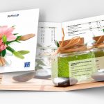 Trọn gói nhận diện thương hiệu Spa Beauty từ A đến Z